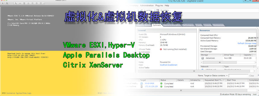 VMware ESXI and Hyper-V虚拟化&虚拟机数据恢复